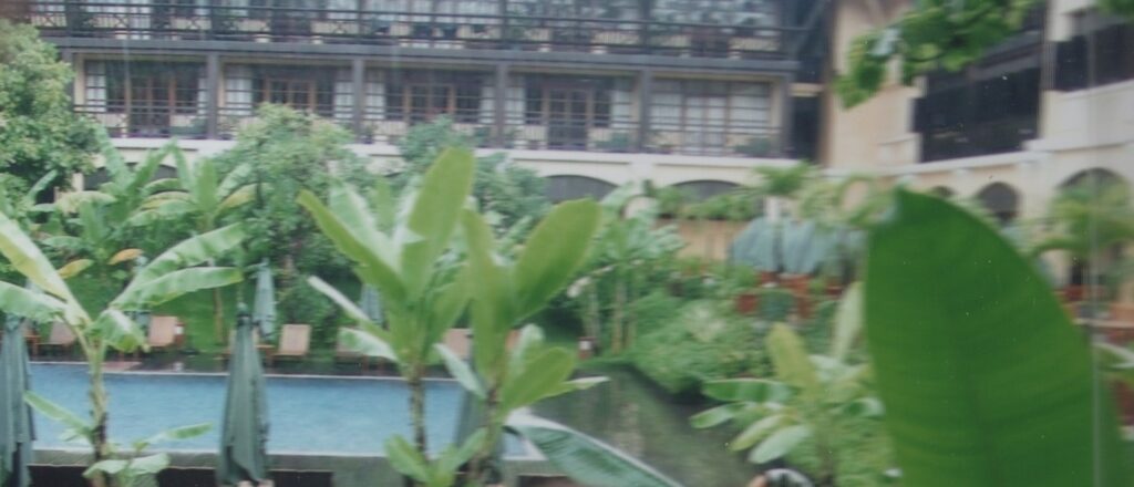 ホテルのプールの写真 木々の間にプール。その後ろにホテルの部屋が見える